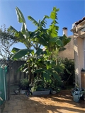 Image du bien UBI446318396